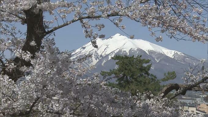 【満開】今日の弘前の桜「完璧だ」弘前公園内でソメイヨシノが満開に　“桜の城”弘前城や“津軽富士”岩木山との競演など　心を奪われる絶景多数【2026年4月17日】|TBS NEWS DIG