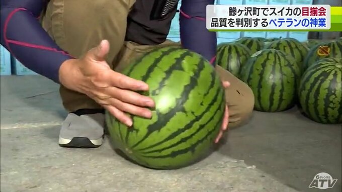 羅皇（ラオウ）を叩いて品質選別・「スイカ」の出荷基準はベテランの神業！？　青森県鰺ヶ沢町　|　青森のニュース│ATV NEWS│青森テレビ