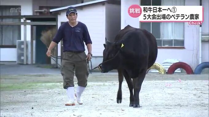 「人生これにかけている」　和牛日本一を目指して　全共を前に　5大会連続出場　ベテラン農家の思い　|　MRTニュース ｜ ＭＲＴ宮崎放送