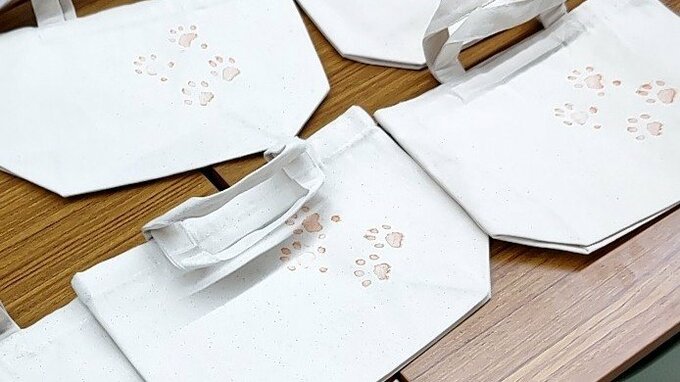 盛岡市動物公園ZOOMOでピューマの赤ちゃんの足型が入ったグッズを発売|TBS NEWS DIG