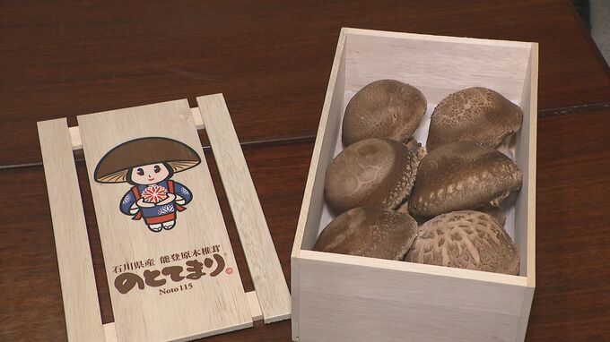 「肉厚で歯切れの良い食感を味わって」高級しいたけ「のとてまり」を生産者が馳浩知事にＰＲ　|　石川県のニュース｜MRO北陸放送