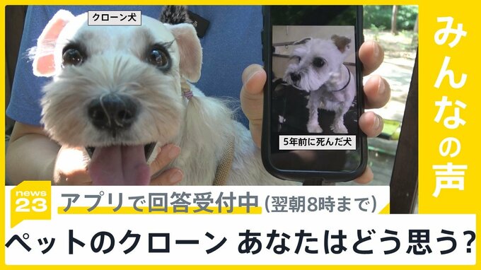 “ペットのクローン” 中国で人気のビジネスに　あなたはどう思う？【news23】|TBS NEWS DIG