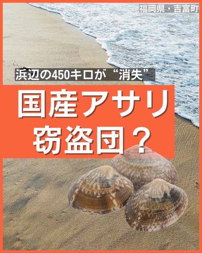[特集] 品薄の国産アサリ450キロ盗難か…福岡の漁協が被害届　|　福岡のニュース｜RKB NEWS｜RKB毎日放送