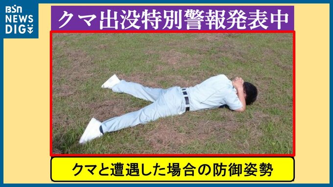 クマから身を守るためにどうすればよいのか　過去には1月に「人身被害」の例も　『クマ出没特別警報』発表中　新潟県|TBS NEWS DIG