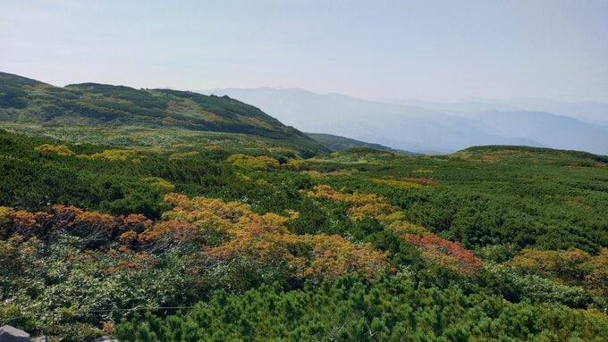 秋の装いへ変化しつつある旭岳の山肌