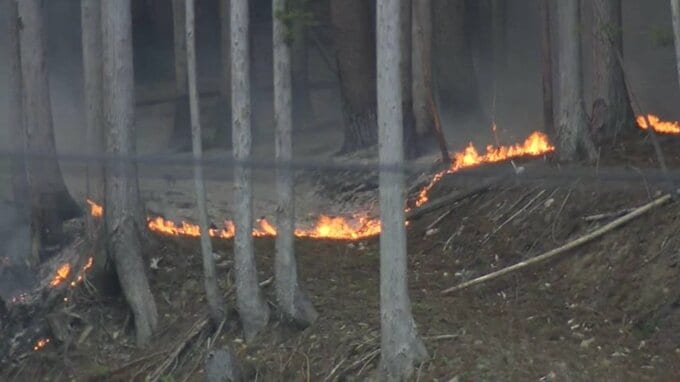 大槌城山公園から中継　山林火災発生から3日目　岩手|TBS NEWS DIG