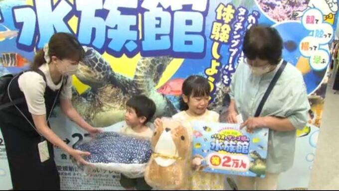 「絵日記に書く！」 いよてつ高島屋 スペシャル水族館　来場者2万人達成！  愛媛　|　愛媛のニュース - Nスタえひめ｜あいテレビは6チャンネル