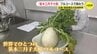 伝統野菜「笹木三月子大根」を使ったフルコース　地元の大学生が料理教室　広島・安佐南区　|　RCC NEWS | 広島ニュース | RCC中国放送