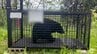 国の関係機関や東北各県が「クマ対策」や「被害」に関する情報共有　連携してクマの個体数の管理を含めた対策を進める方針を申し合わせ　|　青森のニュース│ATV NEWS│青森テレビ