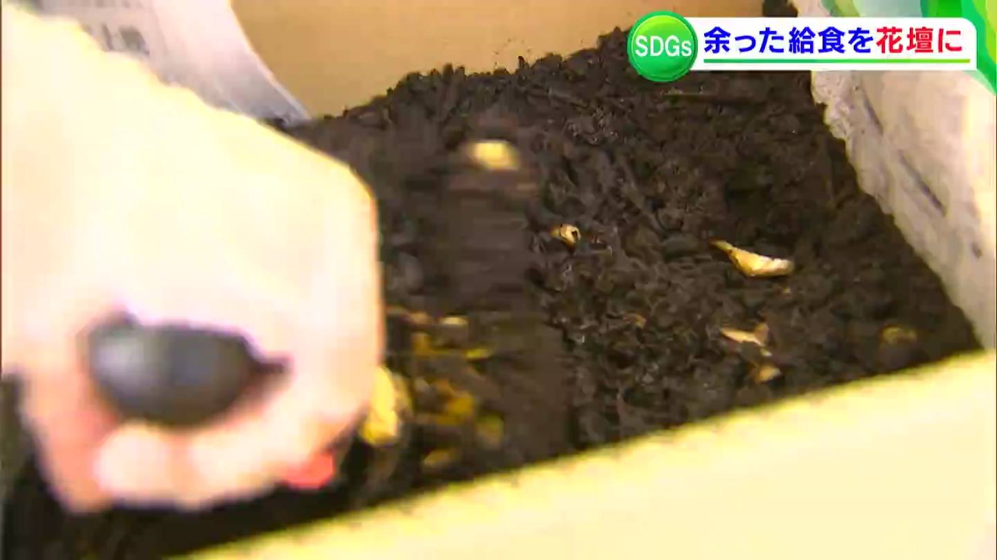 ダンボール箱を使って 食べ残した給食を肥料に 中学校の生徒が発案 肥料は卒業生に贈る花育てる花壇に 岡山 Tbs News Dig