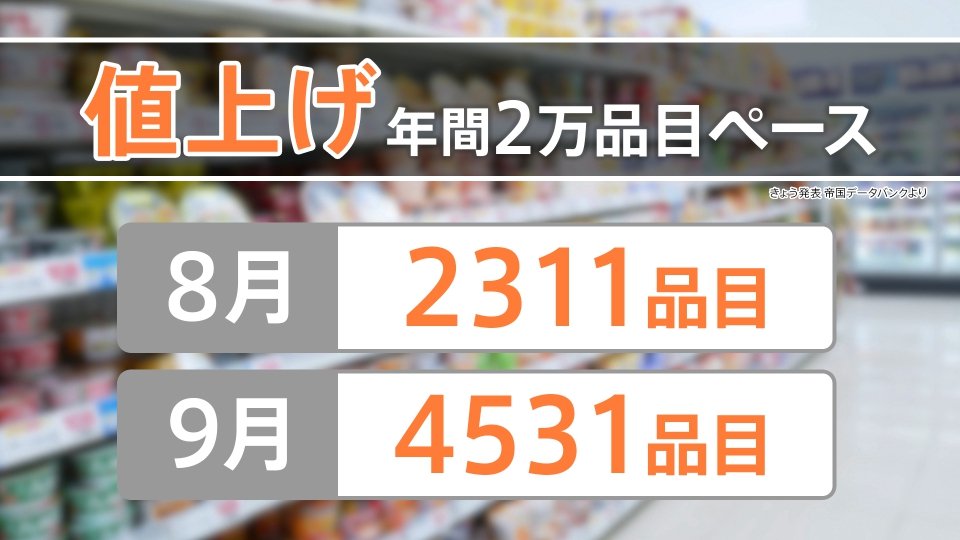 3年ぶり“4500品目超”の値上げラッシュに 深刻な物価高いつまで続く【N