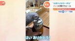 「1.5倍ぐらい美味しく感じる」 ヨウムのクルミちゃん1歳　飼い主もメロメロの特技|TBS NEWS DIG