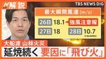 「いつまで続くんだかな…」岩手・大船渡 山林火災の延焼続く 乾燥や強風による“飛び火”が要因に【Nスタ解説】|TBS NEWS DIG