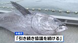 クロマグロの漁獲枠増、メキシコが突如反対で合意に至らず　年内合意は厳しい状況に|TBS NEWS DIG