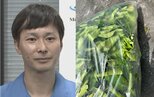 【 ごみ清掃芸人 】トゲのある植物「集積所のすぐ隣にわかりやすく置いてくれると清掃員は助かります！」【マシンガンズ滝沢】|TBS NEWS DIG