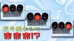 信号機なのに「青黄赤」じゃない!? 実は奥深い、レア信号機の世界|TBS NEWS DIG