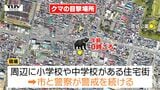 山形市の市街地や天童温泉街付近などでクマの目撃情報 付近に潜んでいる可能性も|TBS NEWS DIG