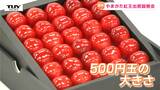 大きさは500円玉ほど! 超大玉さくらんぼ "やまがた紅王" の出荷説明会 ブランド力を高めるポイントは(山形・寒河江市) | 山形のニュース│TUYテレビユー山形