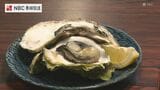 夏が旬！「海の"チーズ"」と称される「戸石イワガキ」　知事に贈呈し　|　長崎のニュース | 天気 | NBC長崎放送