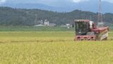 岩手県内の稲刈り進捗28% 2023年より8日ほど早く進む 今月19日時点|TBS NEWS DIG