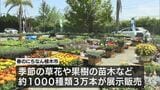 春のにちなん植木市|TBS NEWS DIG