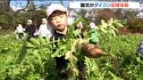 “クマよけ花火”を鳴らして畑へ　園児がダイコン収穫体験　宮城・蔵王町　|　宮城のニュース│tbc NEWS│tbc東北放送