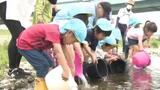 「鯉になってほしい!」保育園児が重信川にアユの稚魚放流 | 愛媛のニュース - Nスタえひめ|あいテレビは6チャンネル