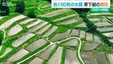 まるで“鏡” 山間地で扇状に広がる100枚の棚田の風景【ドローン映像】新潟県十日町市 東下組集落 | 新潟のニュース・天気|BSN NEWS|BSN新潟放送
