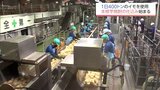 霧島酒造　今季の芋焼酎の仕込み始まる|TBS NEWS DIG