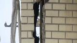 【愛媛・高知で震度6弱】ビルに大きなひび… 歩道では通行止め 入居のスナックは営業休止を余儀なくされる | 愛媛のニュース - Nスタえひめ|あいテレビは6チャンネル