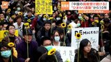 「民主主義を守りたい」台湾・ひまわり学生運動から10年　民進党政権誕生の原動力に|TBS NEWS DIG