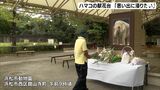 アジアゾウのハマコにさようなら 浜松市動物園に献花台設置=静岡県浜松市|TBS NEWS DIG