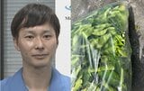 【 ごみ清掃芸人 】トゲのある植物「集積所のすぐ隣にわかりやすく置いてくれると清掃員は助かります!」【マシンガンズ滝沢】|TBS NEWS DIG