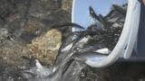 “奇跡の川”銚子川で稚アユ270キロ放流 地元漁協 アユ釣りは6月4日解禁 三重県紀北町 | 名古屋・愛知・岐阜・三重のニュース【CBC news】 | CBC web