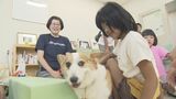 動物愛護週間にあわせて親子ふれあいフェスタ 正しい飼育について理解を深めて 大分 | 大分のニュース|OBS NEWS|大分放送
