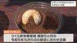 郵便局開局5か月“令和5年5月5日”に「カブトムシの幼虫」を子どもたちに配布　宮城・柴田町　|　宮城のニュース│tbc NEWS│tbc東北放送
