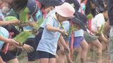 「神様に無事食べてほしい」伊勢神宮にコメを奉納する「初穂曳」(はつほびき)に向け田植え 園児らが1本1本丁寧に植える|TBS NEWS DIG