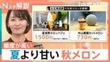 北海道グルメに異変? 猛暑と秋の寒暖差で…夏より甘い秋メロン、海水温上昇で回遊地域が北上しマグロ豊漁【Nスタ解説】|TBS NEWS DIG