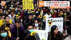 「民主主義を守りたい」台湾・ひまわり学生運動から10年　民進党政権誕生の原動力に| TBS CROSS DIG with Bloomberg