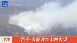【空撮ライブ】岩手・大船渡で山林火災(2025年2月27日)|TBS NEWS DIG