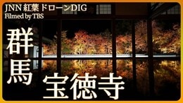 宝徳寺 床もみじ リフレクション絶景【JNN紅葉ドローンDIG】|TBS NEWS DIG