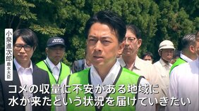 “災害級の暑さ”で水不足深刻化&nbsp;収穫を前にコメ不作が懸念「貯水率は10％」「数日で終わってしまう」|TBS NEWS DIG