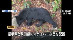 警察官によるライフル銃での“クマ駆除”可能に 国家公安委員会規則を改正 来週13日に施行|TBS NEWS DIG