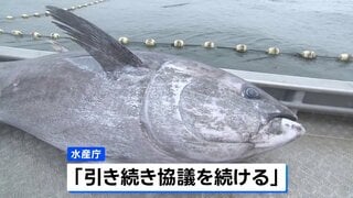 クロマグロの漁獲枠増、メキシコが突如反対で合意に至らず　年内合意は厳しい状況に| TBS CROSS DIG with Bloomberg
