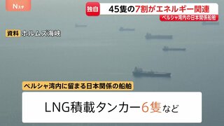 【独自】ペルシャ湾内の日本関係船舶「45隻中32隻がエネルギー関連」、タンカー12隻に“日本の消費量10日分ほど”の原油か　ホルムズ海峡“封鎖”で| TBS CROSS DIG with Bloomberg