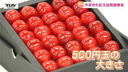 さくらんぼ　ニュースキン製品 サクランボ・ノーススター| 種・苗・ガーデニング用品の【タキイ
