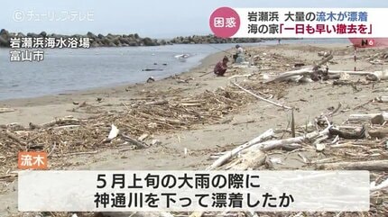 人の手ではどうにもできない」海開きの海水浴場に大量の流木が…地元