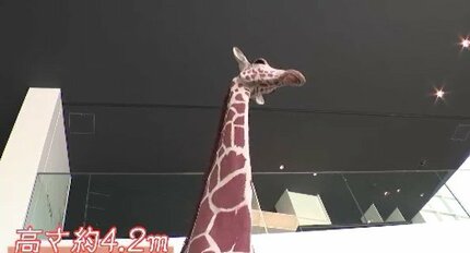 4メートルを超す「キリン」、木のコブで作った「バイソン」…6人の現代