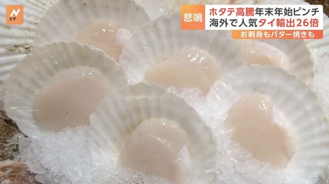 年末年始に欠かせない！「ホタテ」が価格高騰　理由を探ると原因はタイにあった！|TBS NEWS DIG