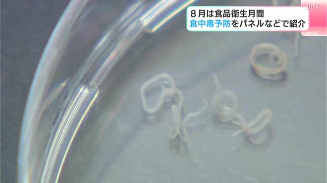 「生きたアニサキス」も展示 食中毒予防に大切なことは? イベントで分かりやすく説明|TBS NEWS DIG